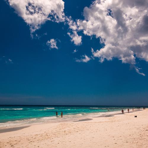 Photo #5236831