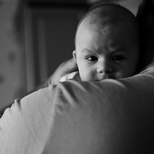 Photo #5237005