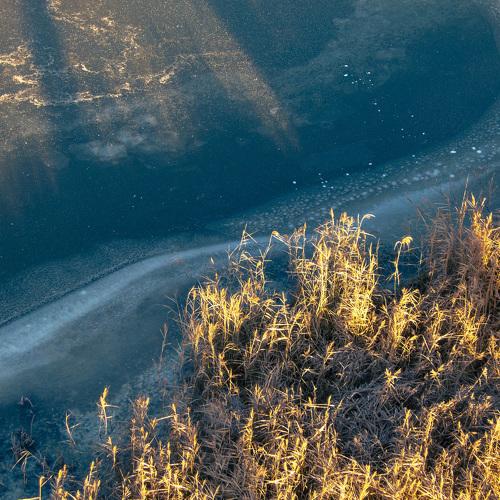 Photo #5237107