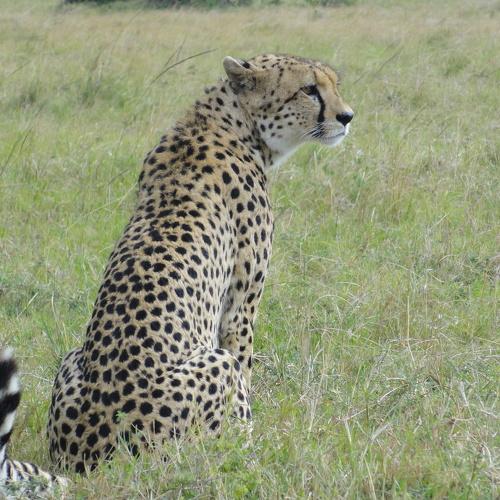 Photo #5237412