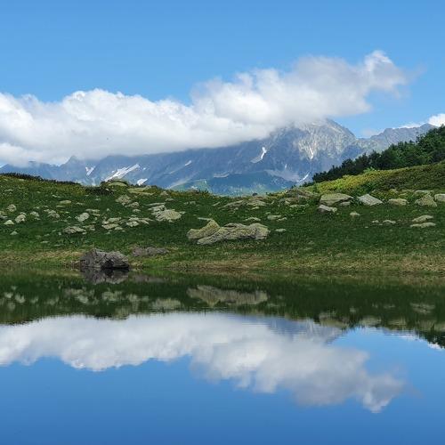Photo #5237489