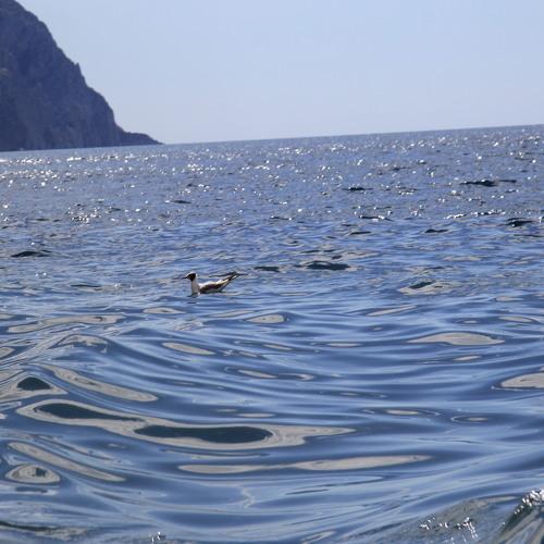 Photo #5237637