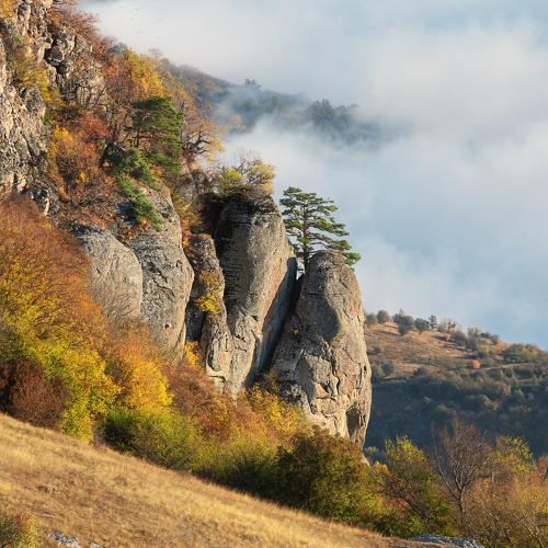 Photo #5237664
