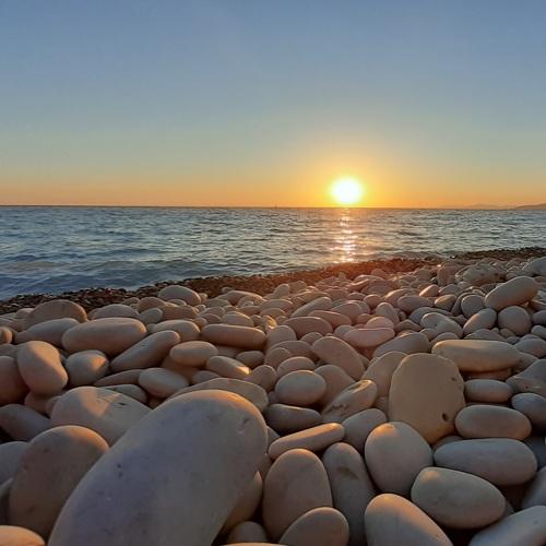 Photo #5237698