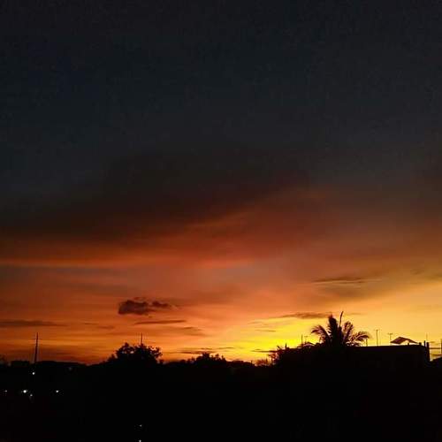 Photo #5237791