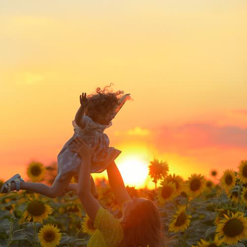 Photo #5238022