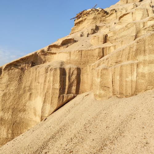 Photo #5238356