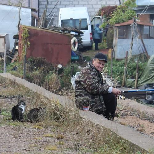 Photo #5238460