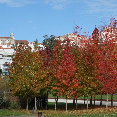 Photo #5238538