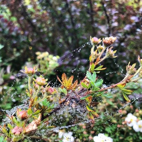 Photo #5238554