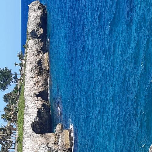 Photo #5239118
