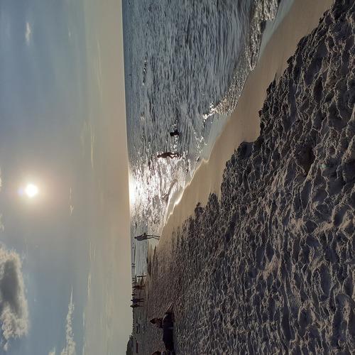 Photo #5239142