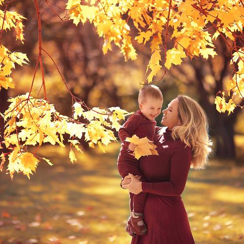 Photo #5239198