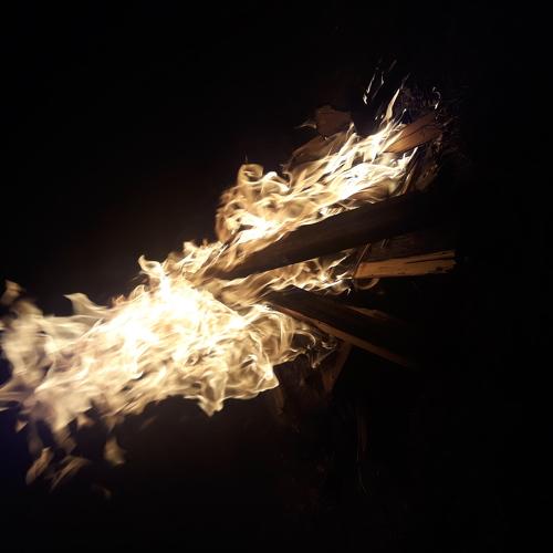 Photo #5239793