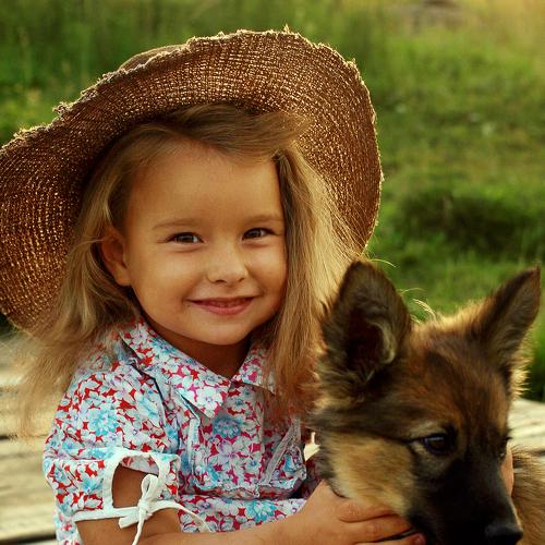 Photo #5239899