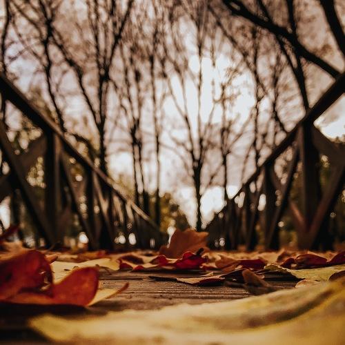 Photo #5240354