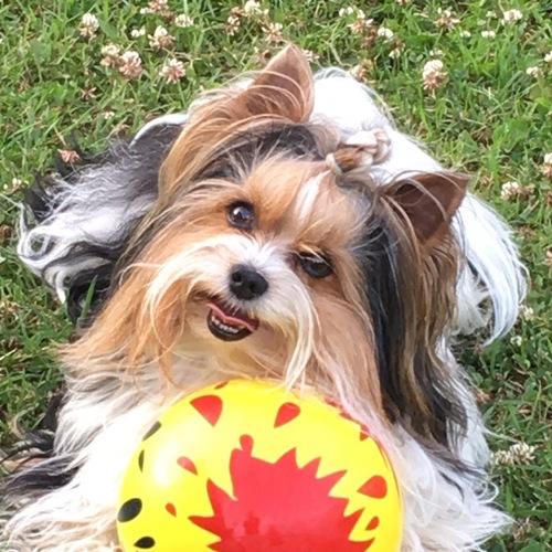 Photo #5240722