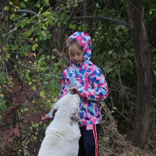 Photo #5241098