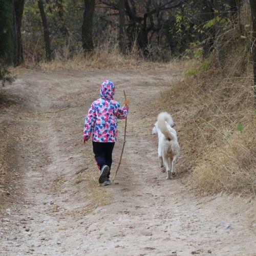 Photo #5241100