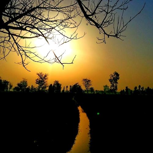 Photo #5241118