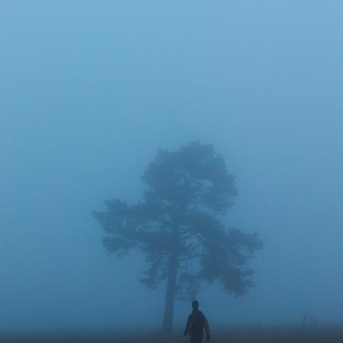 Photo #5241369