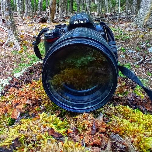 Photo #5241418