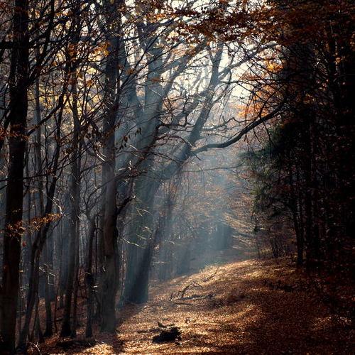 Magic Path