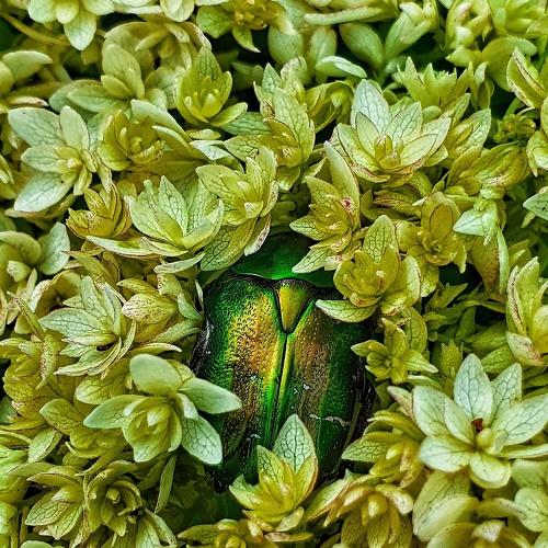 Photo #5243366