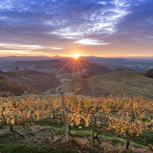 Sunset in Haloze, Slovenia