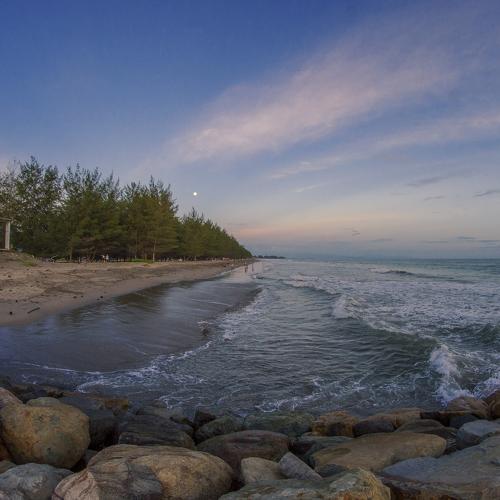 Photo #5243958