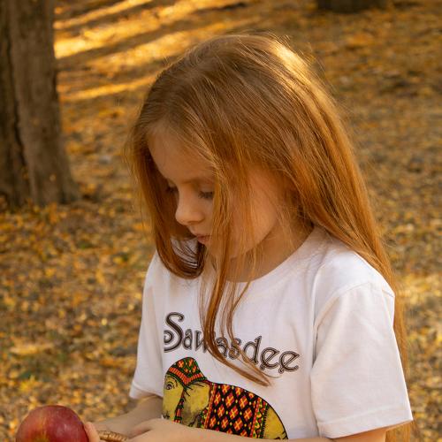 Photo #5244181