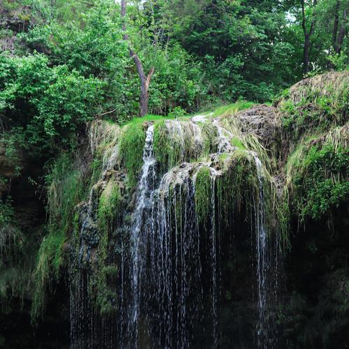 Photo #5244351