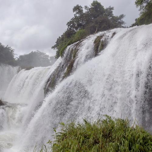 Photo #5244525