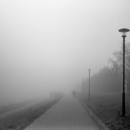 Photo #5244571