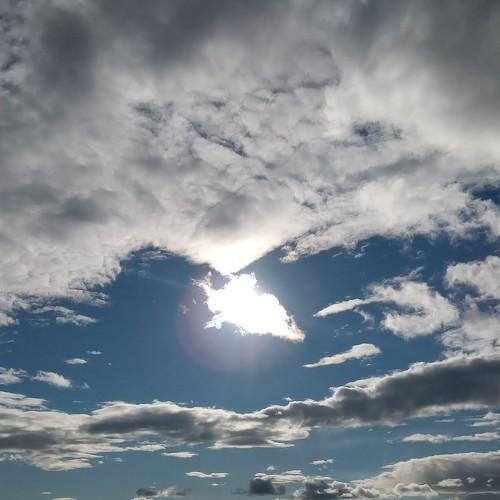 Photo #5244802