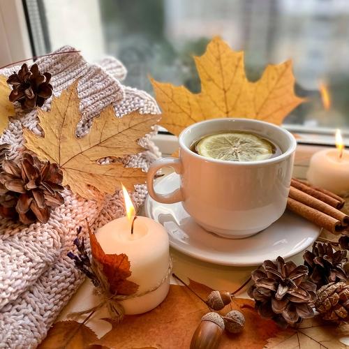 Cozy autumn