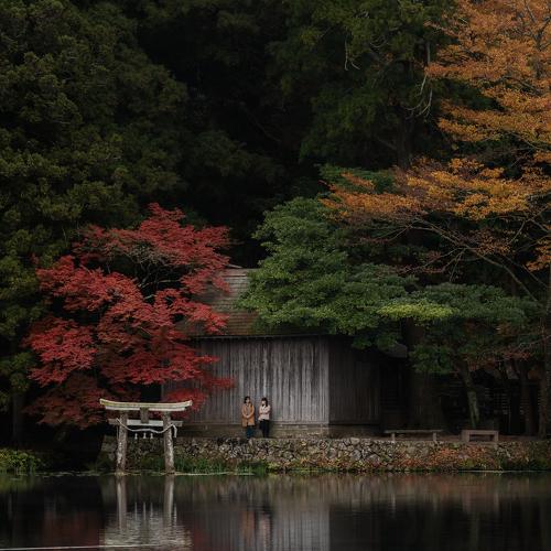 Photo #5244995