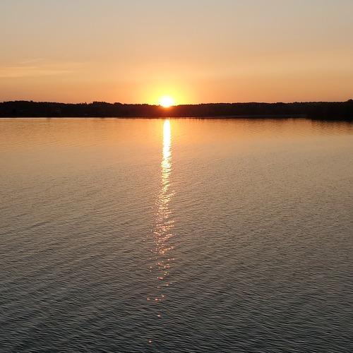 Photo #5245372