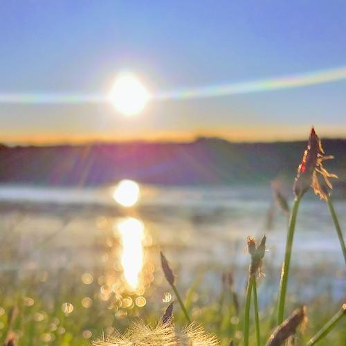 Photo #5245411