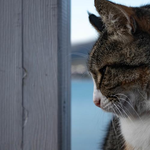 Photo #5245438