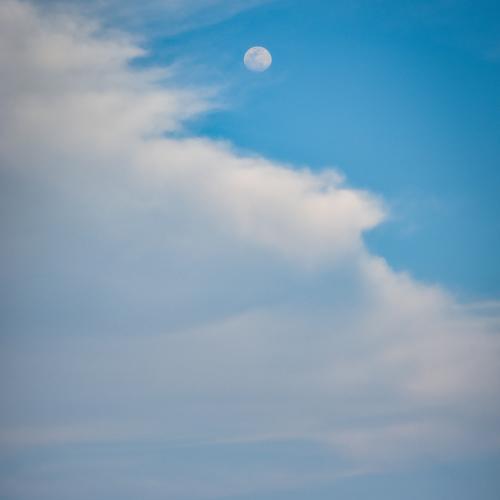Photo #5245533
