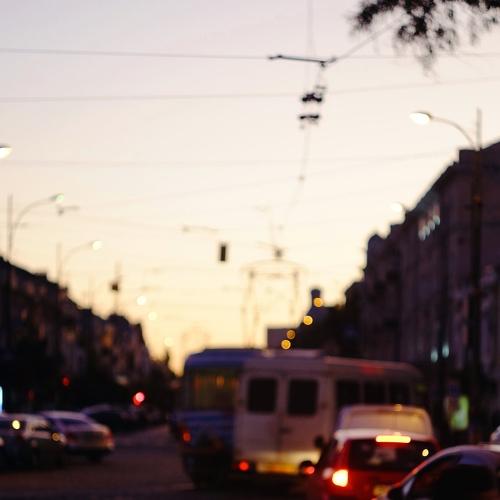 Photo #5245819