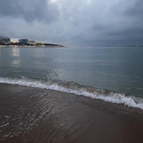 Photo #5245841