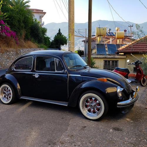 Photo #5245856