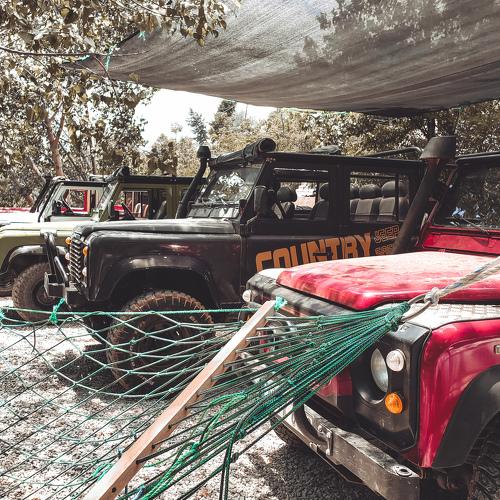 Photo #5245863
