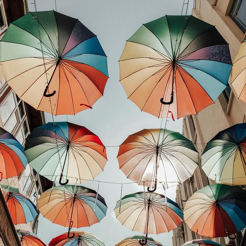 Photo #5245884