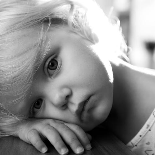 Photo #5245981