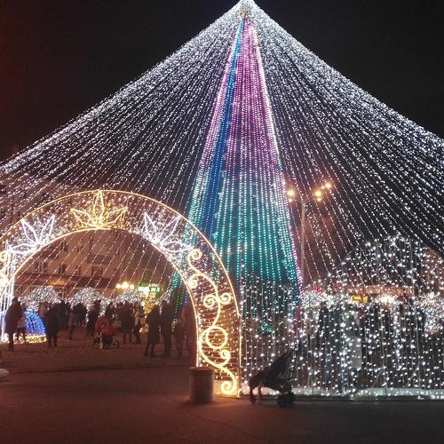 Photo #5246093