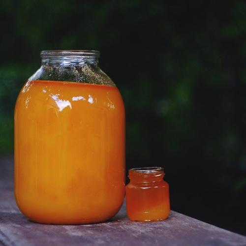 Photo #5246130
