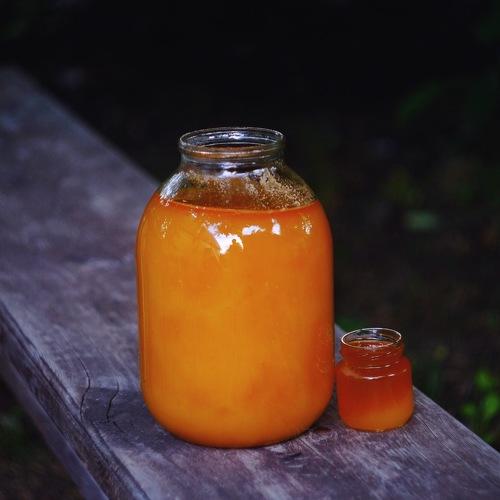 Photo #5246131